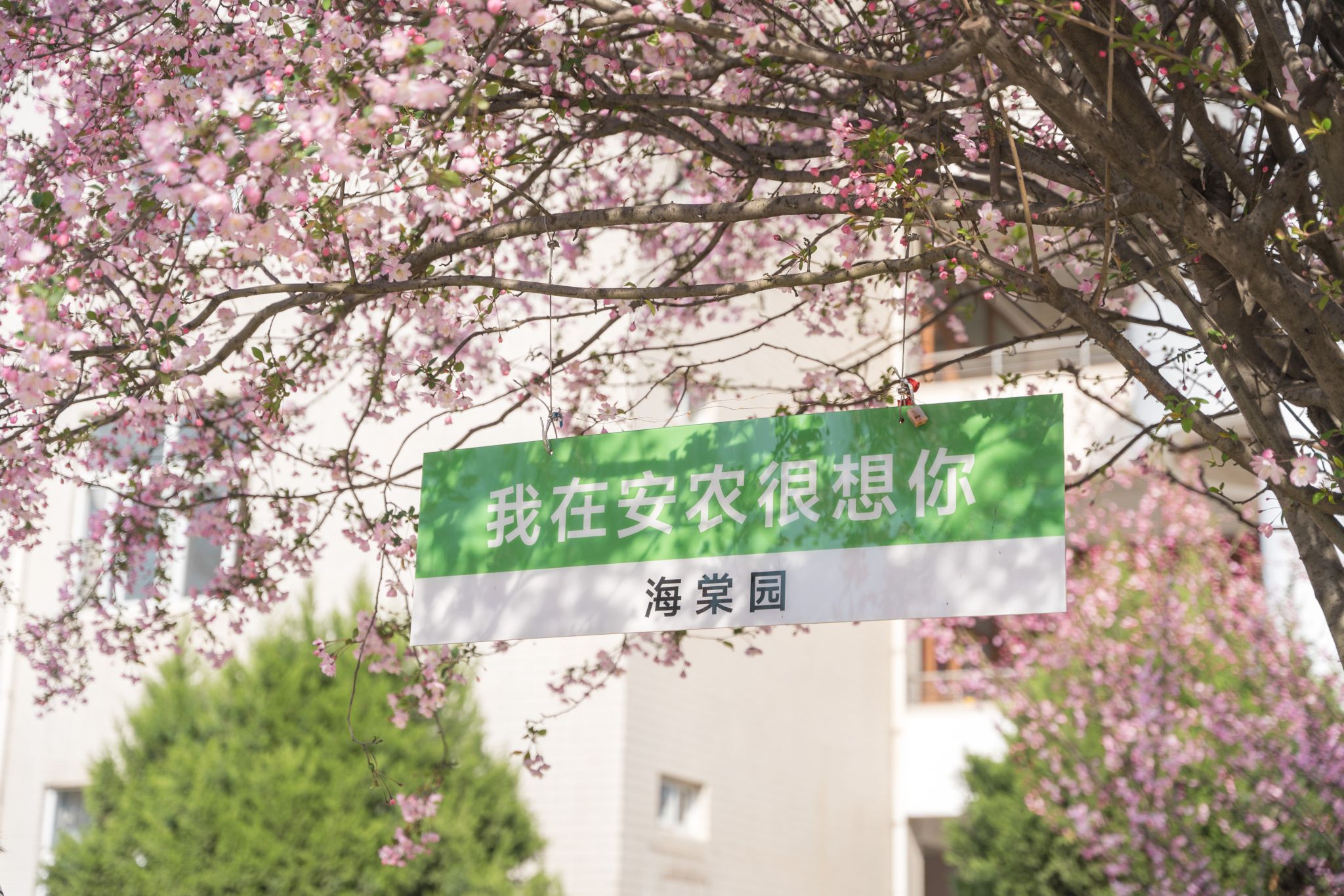 世界，您好！